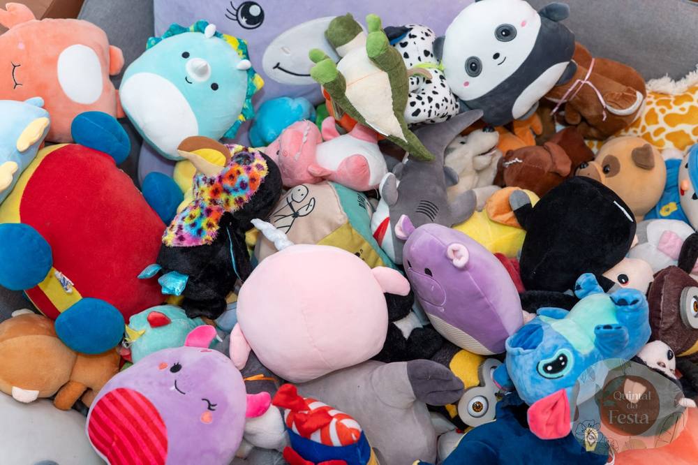 Brinquedos no Quintal